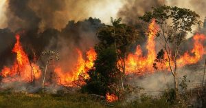 Οι πυρκαγιές στις πολιτείες της Βραζιλίας