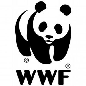 Η παρουσία της WWF Greece στο Twitter και η «γλώσσα» που χρησιμοποιεί στις δημοσιεύσεις της